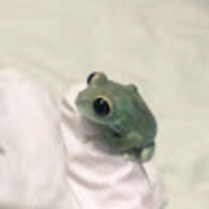 Meet your Posher, Jenna